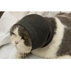 DDFS Cat Hematoma Ear Wrap 6 Pack Head Cover Keep