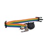 Rainbow Print Kitten Collar with Bell. Safe Quick Release Breakaway