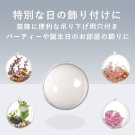 TKY Plastic Ball Plastic Sphere Ornament Ball Decoration Transparent Hollow Sphere Decor Storage DIY (12cm)