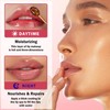 AOAZXBB 4 PCS Bee Lip Balm Honey Pot,Honey Strawberry Watermelon