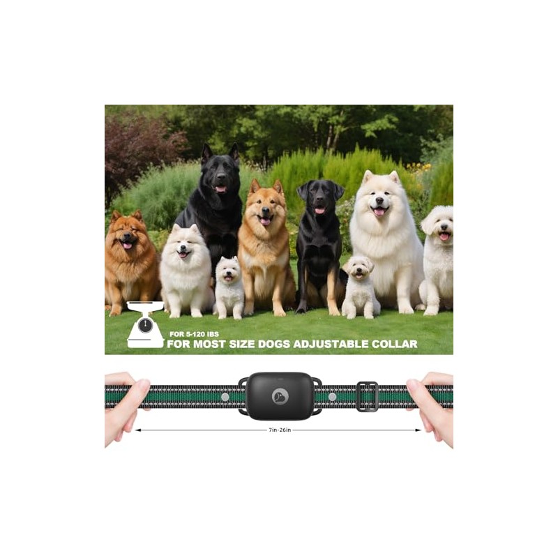 Heaflex Dog Training Collar Accessory, Replacement Dog Shock Collar Receiver,