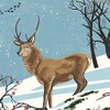 Museums & Galleries Winter Wonderland Animal themed Christmas Cards -