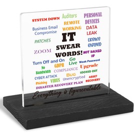 Motivational Office Gifts for Programmer, Positive Affirmation Gifts for Programmer, Modern Transparent Acrylic Desk Plaque with Funny Quotes, 10 x 10 x 1.5 cm,XXY83