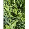 Cover Crop Seed Blend by Eretz (25lb) - Choose Size!