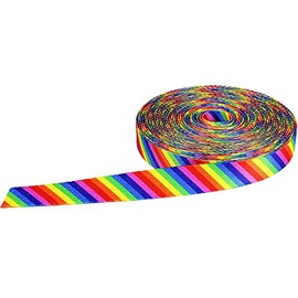 Strapworks Print Poly Webbing - Utility Strap for Outdoor Activities, Crafts, Dog Leashes - 1 Inch x 10 Yards, Rainbow Stripe