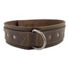 Taco Dog, Double Layer Dog Collar Handmade from Thick Full