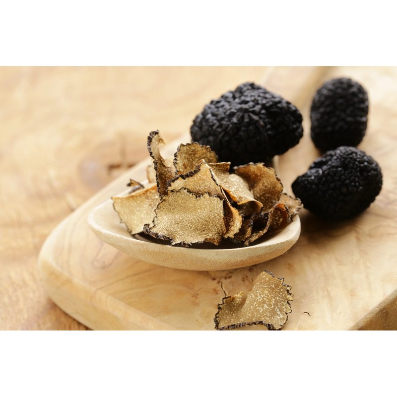 CEMEHA SEEDS - Black Truffle Mushrooms Non GMO for Planting
