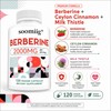 Berberine Supplement for Daily Wellness – Immune Support Capsules for