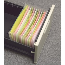 Teji FD-243 Document Files 2 A4 