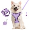 VavoPaw Cat Harness and Lead Set for Walks, Adjustable Kitten