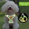 OUDQFCJ Dog Chest Carrier with Lead, Anti-Pull Reflective Breathable Chest