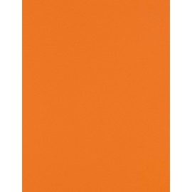 LUXPaper 8.5" x 11" Paper | Letter Size | Mandarin Orange | 80lb. Text | 50 Qty