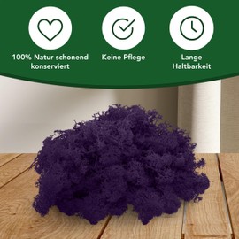 sphagnum-shop.com Real Decorative Moss Reindeer Moss in Purple 500 g for Model Making Crafts Iceland Moss Preserved