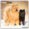Chow Chow 2025 Square Wall Calendar | Dog Breed Calendar