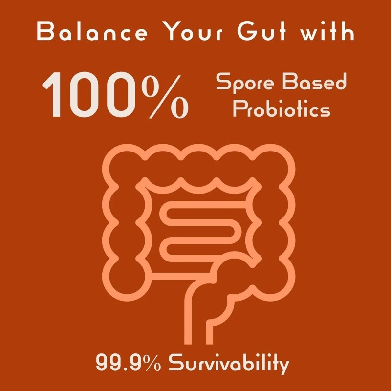 iEnzymes Bacillus B3 Probiotics - Bacillus Subtilis, Coagulans Clausii Enzymes