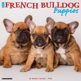 French Bulldog Puppies 2026 12" x 12" Wall Calendar