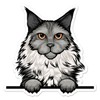 Pack of 4-3 Inch Stickers - Peeking Maine Coon Cat Vinyl Decal Sticker