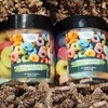 2 Pack Breakfast in the Rockies - Fruit Loops Wax