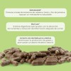 Matter Hello Flat! Suplementos Alimenticios con Metabolaid, BioCore Optimum Complete,