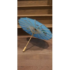 TJ Global 22" Chinese Japanese Umbrella Parasol For Wedding Parties, Photography, Costumes, Cosplay, Decoration (Light Blue)