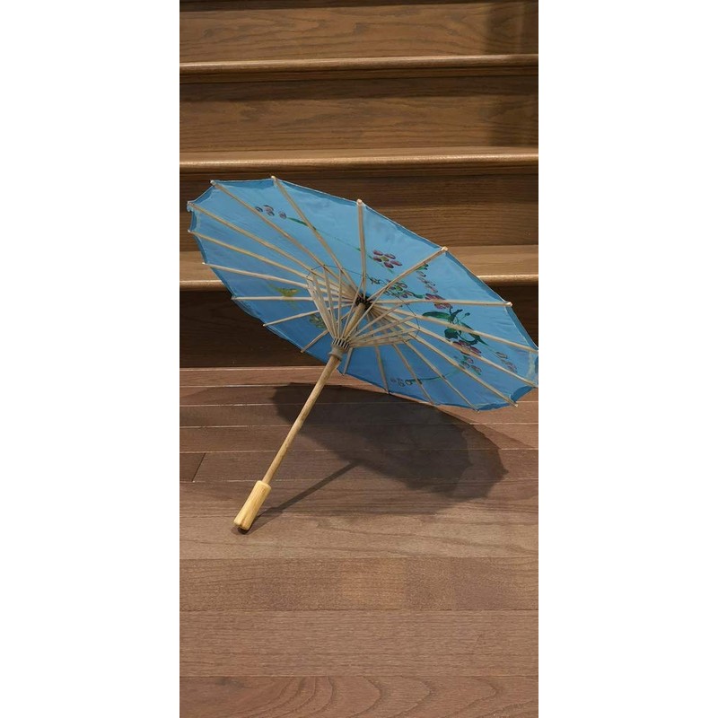 TJ Global 22" Chinese Japanese Umbrella Parasol For Wedding Parties,
