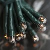 WHD Light Set String Strand - Clear Teeny Rice Bulbs
