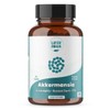Layer Origin Akkermansia muciniphila Probiotic, The Only Akkermansia with PureHMO