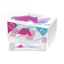 Signs Secure Horse Flash Sticks 10 Sticks