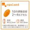 Ogaland Imidazole Dipeptide (360 Capsules / About 6 Months Supply),