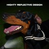 Joytale Martingale Collar for Dogs, Reflective Heavy Duty for Safety,