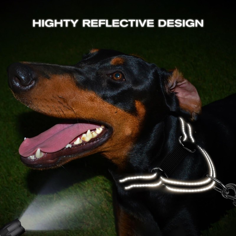 Joytale Martingale Collar for Dogs, Reflective Heavy Duty for Safety,