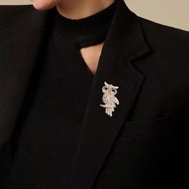 TseenYi Owl Rhinestone Brooch Pins Gold Crystal Owl Pins CZ Animal Corset Brooch Crystal Rhinestone Pin Cardigan Clip Lapel Clip Shirt Clip Statement Jewellery for Women and Girls, Metal
