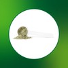 Progressive Vegegreens Blueberry Medley Flavour 530 g, Anti-Inflammatory plus Liver