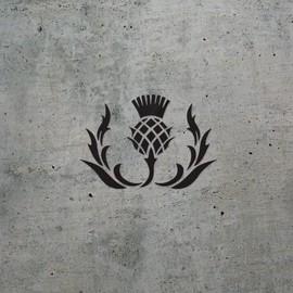 Transparent Decal Stickers of Scottish Thistle Flower (Black) Premium Waterproof Vinyl Decal Stickers for Laptop Phone Accessory Helmet Car Window Mug Tuber Cup Door Wall Decora ANDSKUS087256BL080322