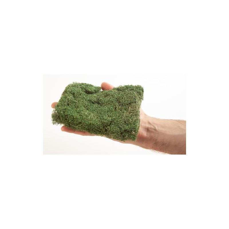 NOCH 7311 Bush Dark Green