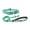 Olahibi Reflective Dog Collar Leash Set, 5ft or 150CM Matching
