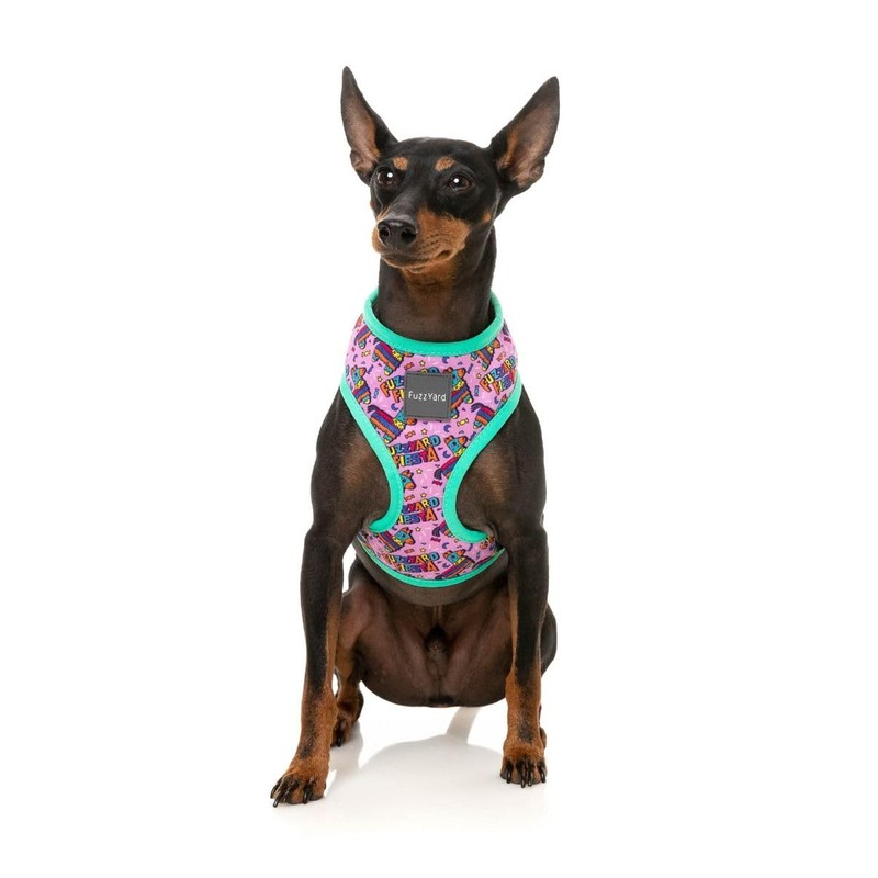FuzzYard Siesta Fiesta Pinata Harness for Dogs (Large)