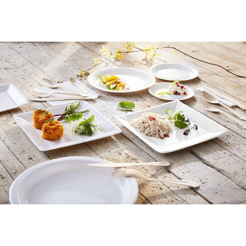 Algon Pack of 25 Disposable Plates - Size 26cm -