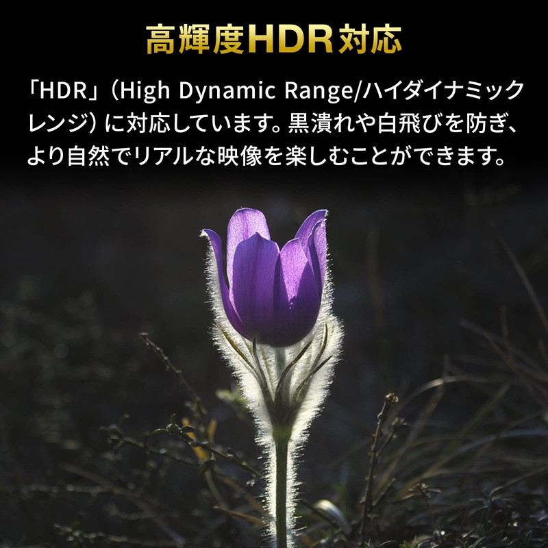 Sanwa Supply SW-HDR21BD HDMI Switcher (2 Input, 1 Output or