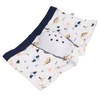 Circumcision Underwear for Kids PTE Protective Cover Anti Extrusion Dinosaur