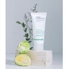 Kynonix Kynonics Cabbage Calming Soothing Cream 60ml