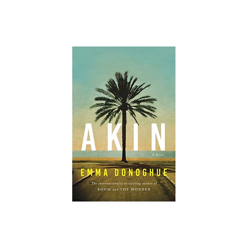 Akin: A Novel