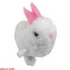 NOVELTY GIANT WWW.NOVELTYGIANT.COM 2 Wind Up Hopping Bunny Easter Egg