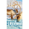 Lesereise Lappland: Nordlicht, Joik und Rentierschlitten (Picus Lesereisen)