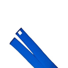 Pandiui23 Professional Taekwondo Karate Judo Belt Double Wrap Martial Arts Stripe Sports Belt (1, Blue, 2.6m)