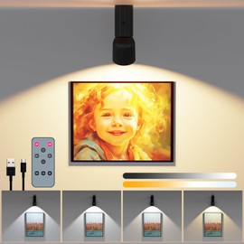 LED Ceiling Picture Lights447