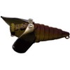 Smith LTD Neussie Bican 0.1 oz (2.6 g) 1.5 inches (38 mm) Matte Olive #10