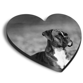 1 x Heart MDF Magnets - Boxer Puppy Autumn Leaves Dog 37168
