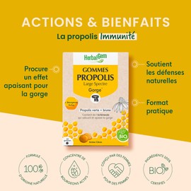 HerbalGem Propolis Breitspektrum Radiergummis Bio 24 Radiergummis