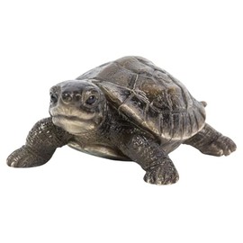 Uvia Turtle Paperweight Magnet 2.8 x 2.8 x 1.2 inches (7 x 5 x 3 cm) Doll Figurine Figurine Figurine Animal Garden Decoration Realistic Cute Turtle H17341